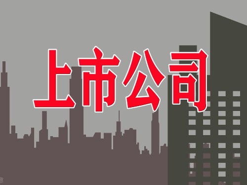 安迅商务告诉您：公司上市有什么好处？
